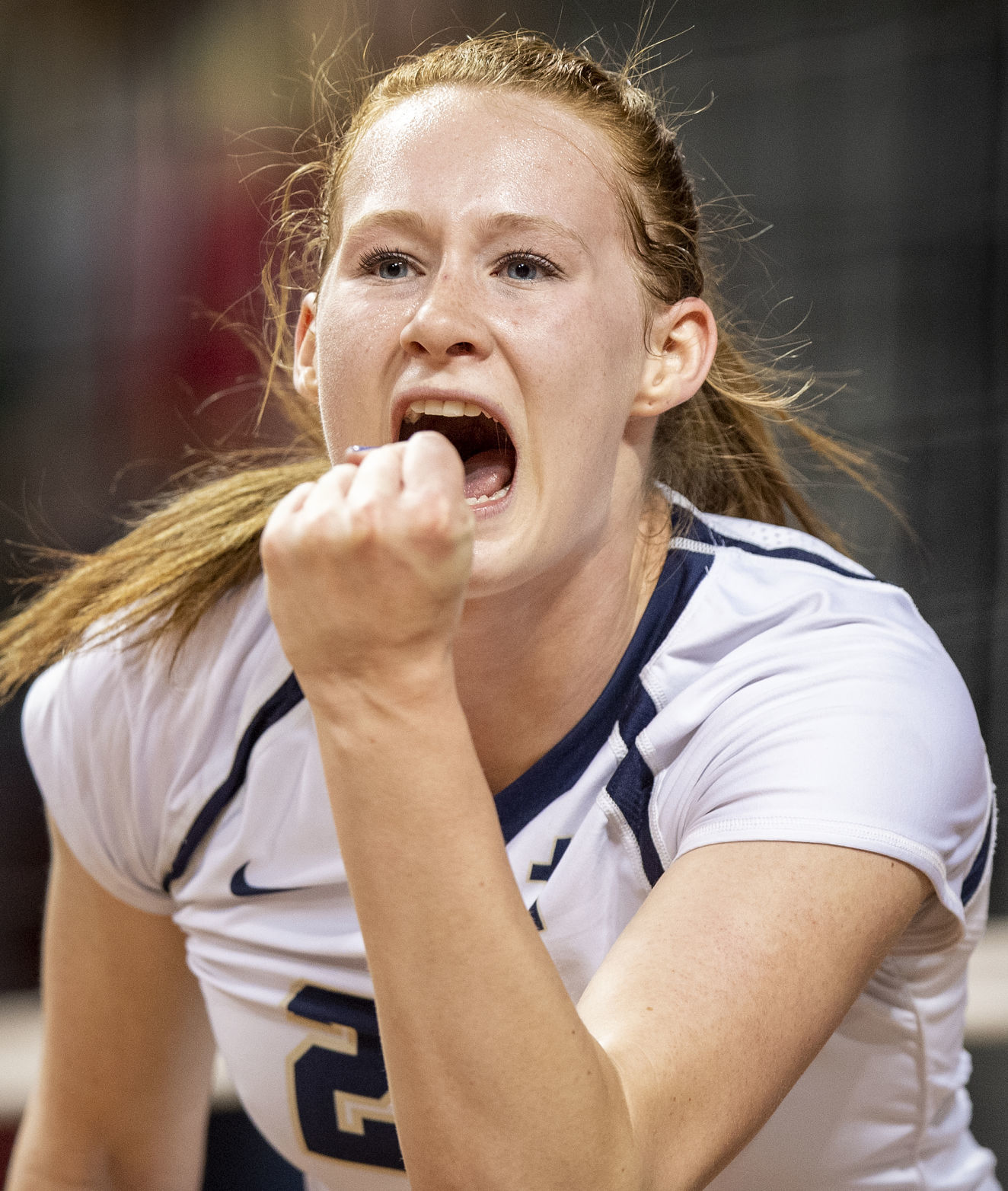C-1 state volleyball, Wahoo vs. Lincoln Lutheran, 11.8
